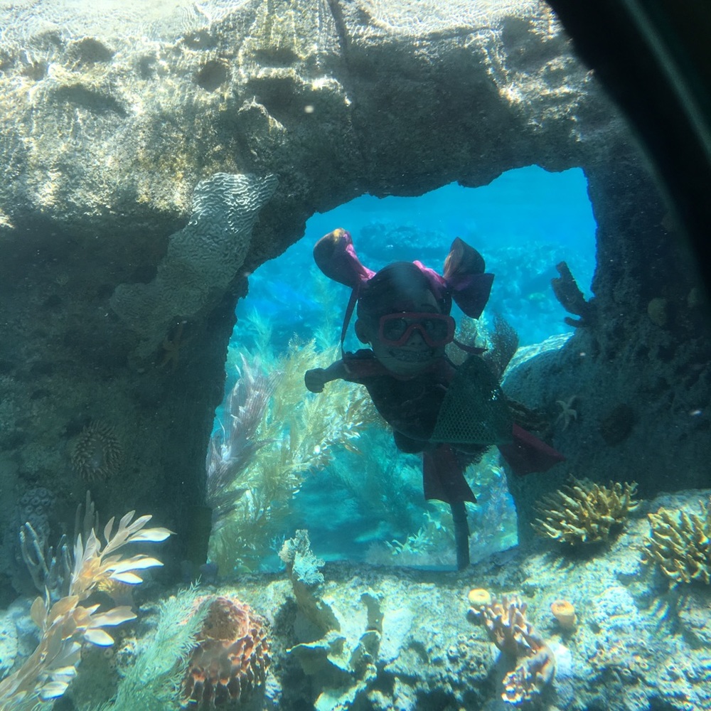 Meet your Posher, Mnem